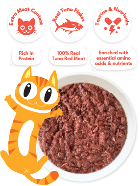CNF_RedFeastProduct_WebsiteUpdates-1-02